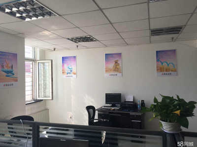 鼎金金服科技信息咨询服务 数字化时代的专业财务导航